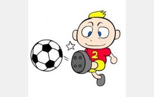 Composition des Championnats CN1 et CN2