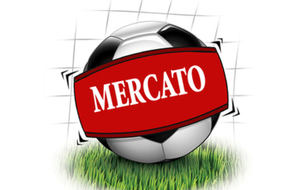 Recrues 2013-2014
