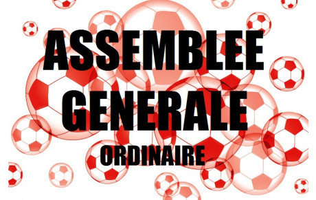Assemblée Générale du Club et Repas